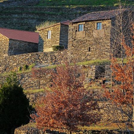 Вілла Cardenha Do Douro Мезан-Фріу Номер фото