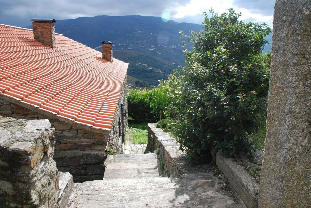 Вілла Cardenha Do Douro Мезан-Фріу Номер фото
