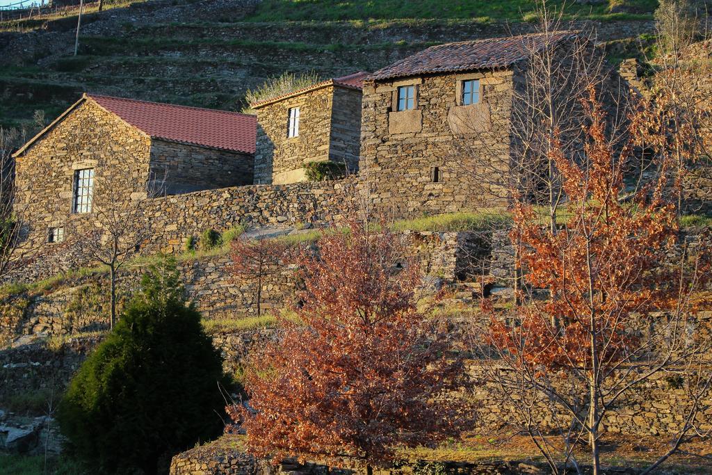 Вілла Cardenha Do Douro Мезан-Фріу Номер фото